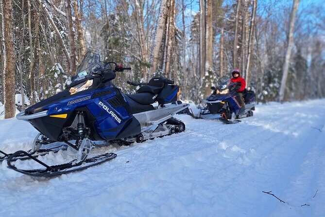 1.5-Hour Guided Snowmobiling Adventure - What the Reviews Say