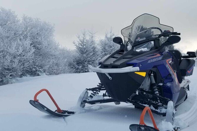 1.5-Hour Guided Snowmobiling Adventure - Additional Considerations