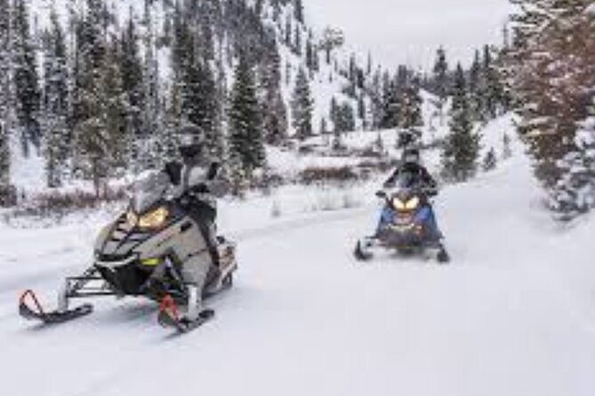 1.5-Hour Guided Snowmobiling Adventure - Practical Tips for Travelers