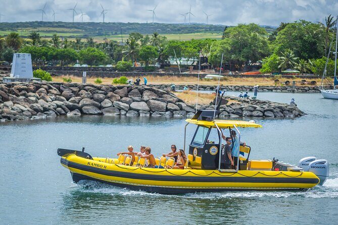 1.5 -Hour Guided Whale and Marine Life Tour - FAQ