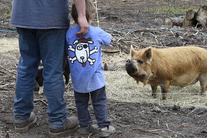 1.5 Hour Immersive Farm Experience in Adirondacks - Who Should Consider This Tour?