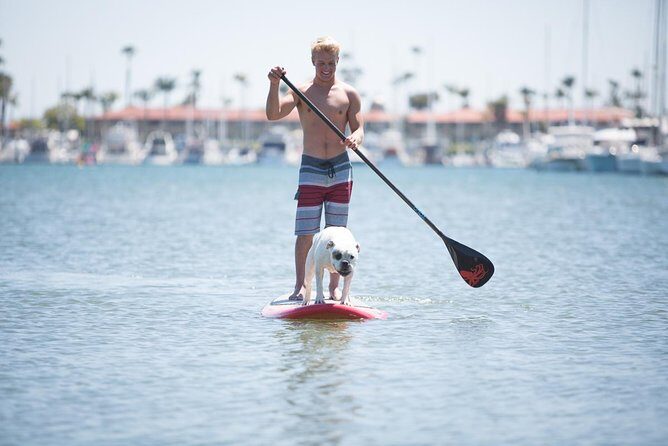 1.5 Hour Paddle Board Rental with Instruction - Key Points