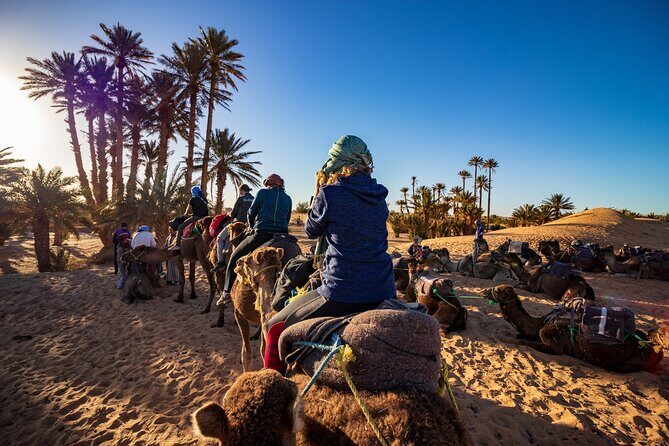 1.5-Hour Small-Group Camel Ride Excursion to Palm Grove from Marrakech - Final Thoughts: Who Should Consider This Tour?
