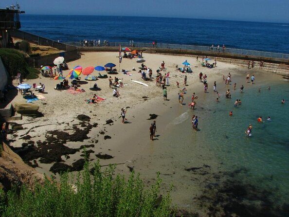 1.5 Hour Walking Tour from La Jolla in San Diego - Key Points
