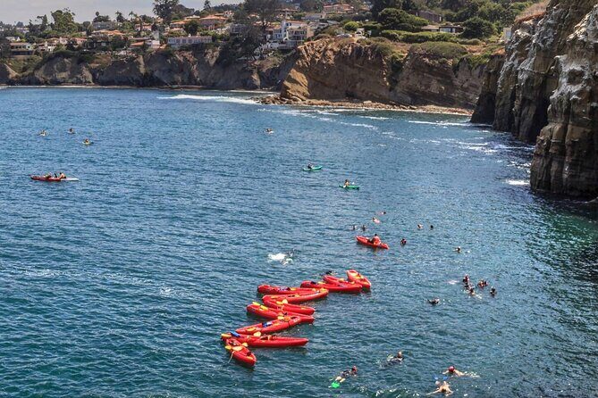 1.5 Hour Walking Tour from La Jolla in San Diego - The Sum Up: Is This Tour Worth It?