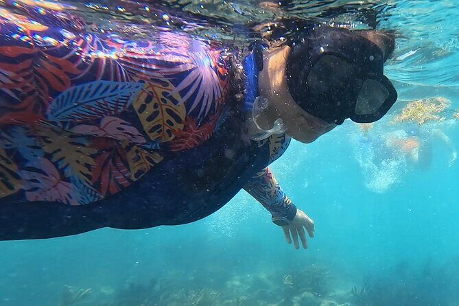 1.5 hours Snorkeling at Tulum's paradise reef - The Practical Aspects