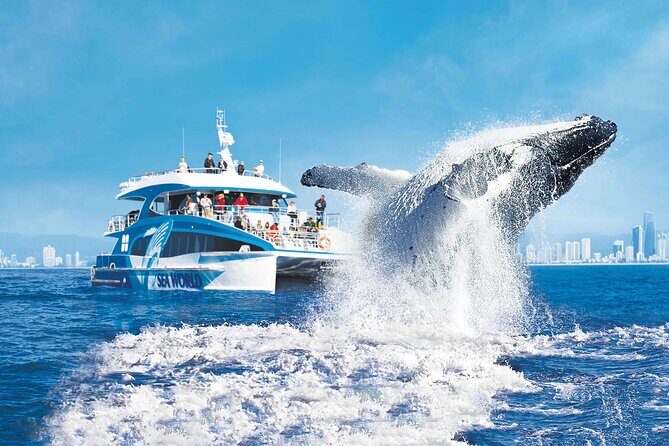 1.5 hr Jet Ski Safari tour to South Stradbroke Island! - Final Thoughts