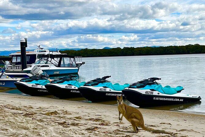 1.5 hr Jet Ski Safari tour to South Stradbroke Island! - FAQs