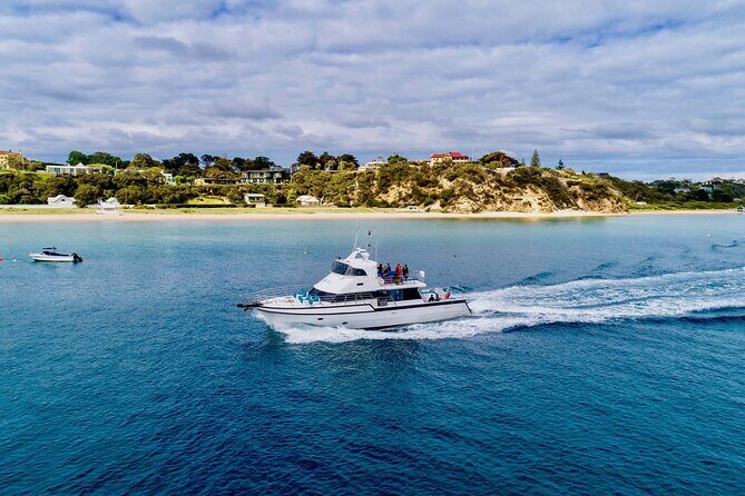1.5hour Scenic and Wildlife luxury cruise - An In-Depth Look at the Experience