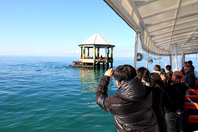 1.5hour Scenic and Wildlife luxury cruise - The Sum Up