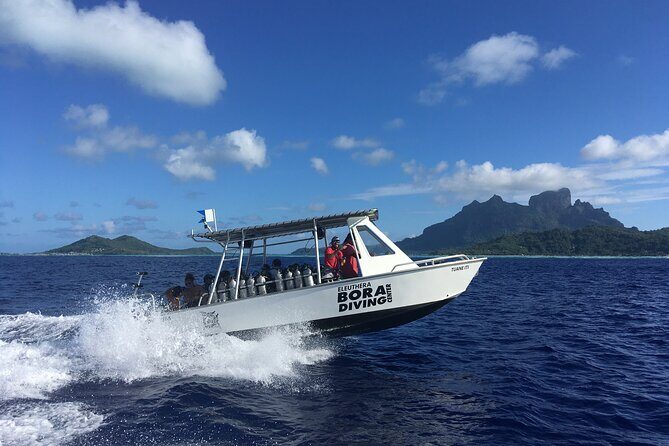 1 Afternoon Dive for Certified Divers in Bora Bora - Final Thoughts