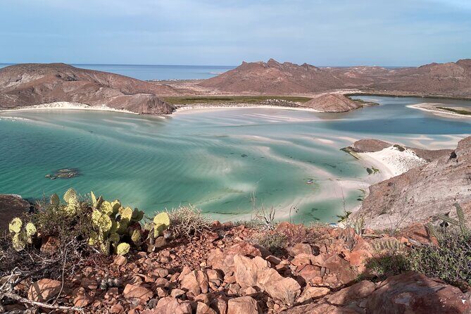 #1 Beach in La Paz BALANDRA Perfect For Cruise Groups or Families - An In-Depth Look at the Tour Experience