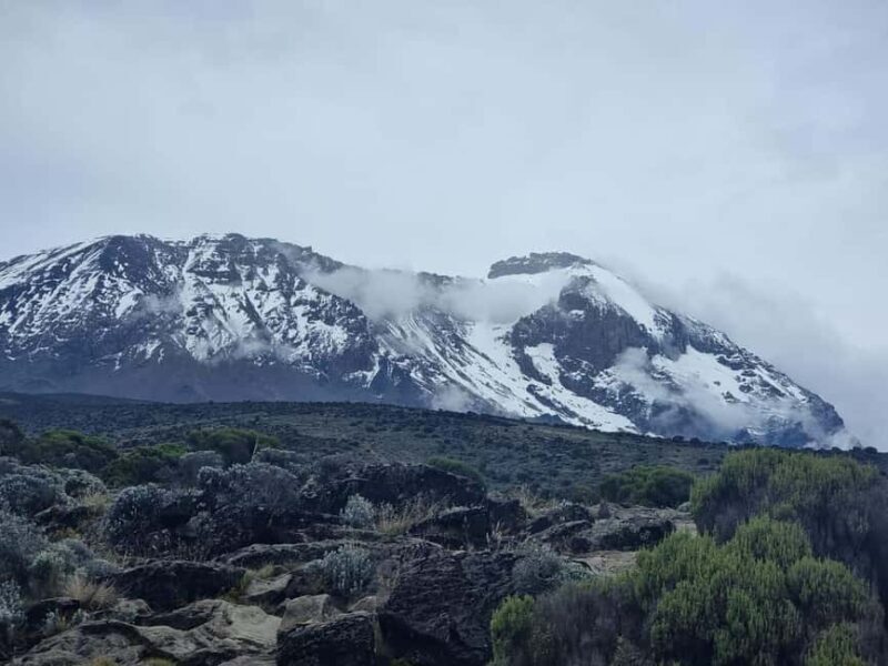 #1. Best Kilimanjaro Day Hike Marangu Route-ISMANI TOURS - Key Points