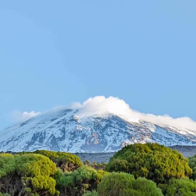 #1. Best Kilimanjaro Day hike Tour-Machame Route-ISMANI - A Closer Look at the Itinerary and Experience