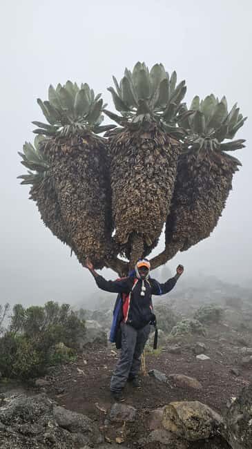 #1. Best Kilimanjaro Day hike Tour-Machame Route-ISMANI - Final Thoughts