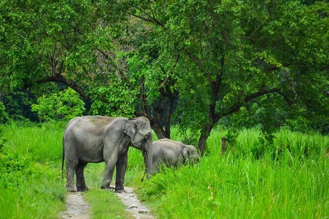 1 Day Akagera Game Drive Safari - The Practical Side: Logistics and Value