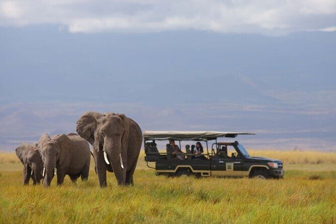 1-Day Amboseli Safari - An Introduction to the Amboseli Safari