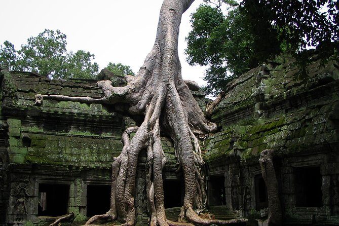 1-Day Angkor Wat Sunrise & All Interesting Temples Private Tour - The Itinerary in Detail