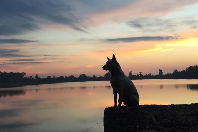 1 Day Angkor Wat with Sunrise Tour - The Itinerary in Detail