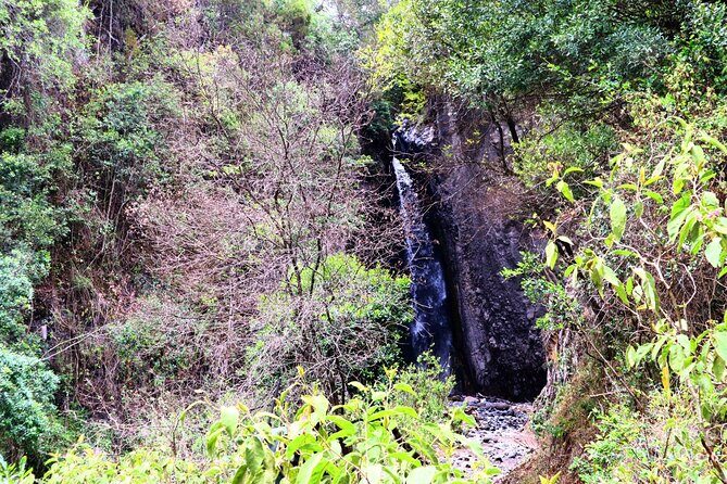 1 Day Arusha national park (Game drive and walking safari). - The Highlight: Walking Safari