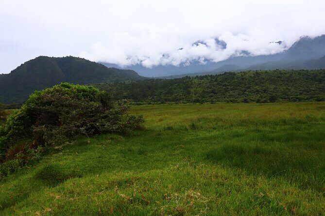 1 Day Arusha national park (Game drive and walking safari). - Who Will Love This Tour?