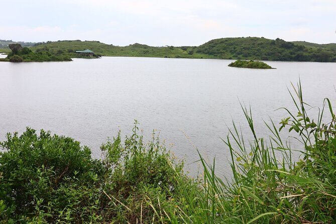 1 Day Arusha national park (Game drive and walking safari). - Considerations and Practicalities