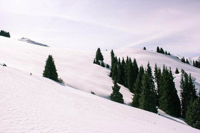 1-day Backcountry Tour - The Mountain Environment and Views