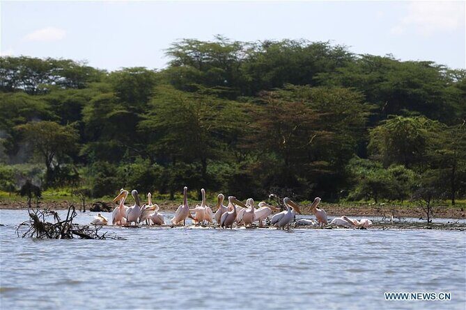 1 Day Bike Tour to Hells Gate And Lake Naivasha - Authentic Experiences and Genuine Encounters