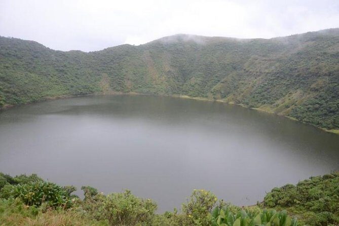1-Day Bisoke Volcano Hiking Experience - Key Points