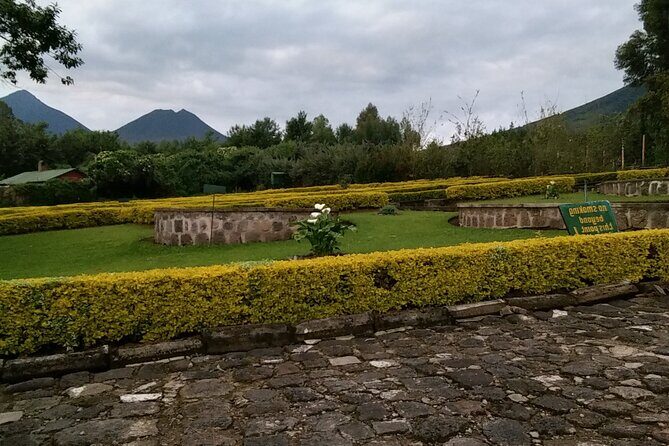 1-Day Bisoke Volcano Hiking Experience - Final Thoughts