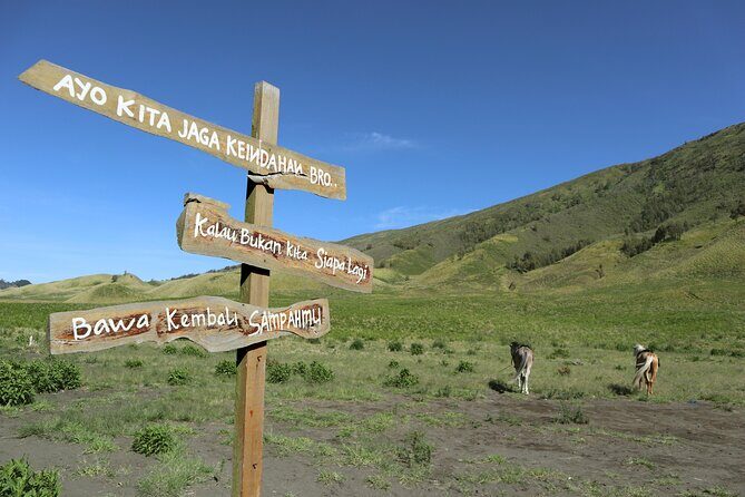 1 Day - Bromo Morning Tour start MALANG or SURABAYA // 7.30-16:00 - The Itinerary in Detail: What to Expect