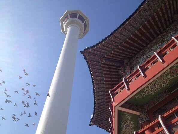 1-DAY Busan and INCLUDED night tour - Key Points