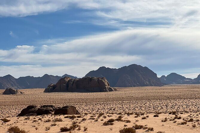 1 Day Camel tour with lunch - The Itinerary in Detail