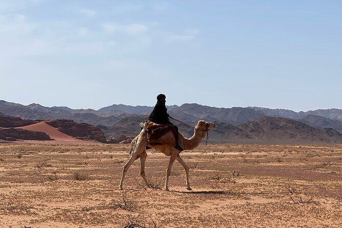 1 Day Camel tour with lunch - Authenticity and Value