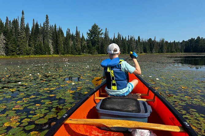 1 Day Canoeing Tour in Algonquin Park - Key Points