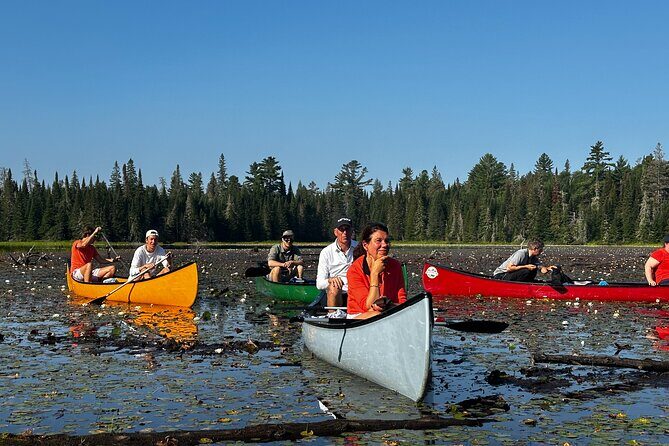 1 Day Canoeing Tour in Algonquin Park - An In-Depth Look at the Experience