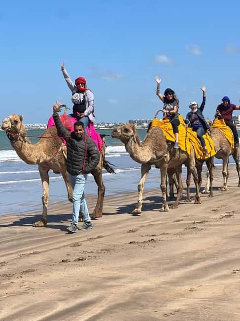 1-Day Casablanca & Mohammadia. Moroccan Lunch and Camel Ride - An In-Depth Look at the 1-Day Casablanca & Mohammadia Tour