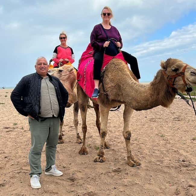 1-Day Casablanca & Mohammadia. Moroccan Lunch and Camel Ride - The Sum Up: Who Will Love This Tour?