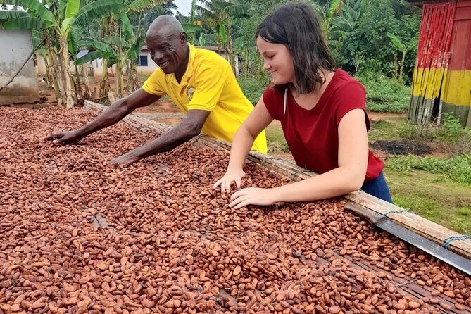 1 Day cocoa farm tour - FAQs About the Cocoa Farm Tour