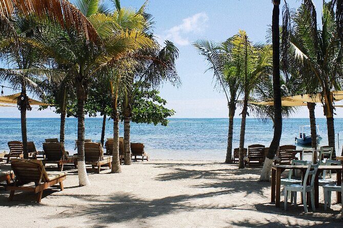1 Day Costa Maya Premium Beach Break Experience - Who Would Love This Tour?