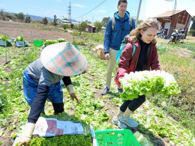 1 Day Easy Rider Tour in DalatVillages, Farms & Waterfalls - Exploring Dalat’s Countryside on Two Wheels