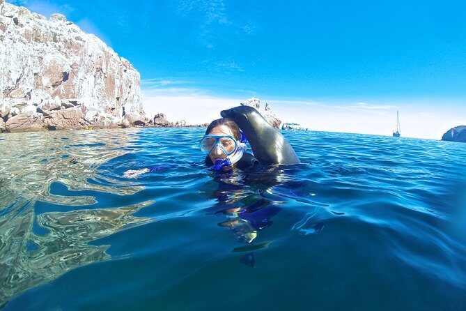 1 Day Espiritu Santo Island Wonders, Sea Lions and Paddleboard Adventure - Environmental Responsibility and Practical Tips