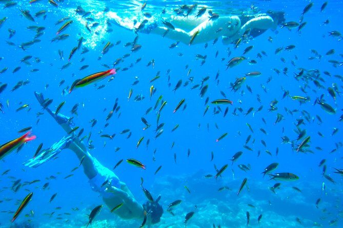 1 Day Espiritu Santo Island Wonders, Sea Lions and Paddleboard Adventure - Pricing and Value