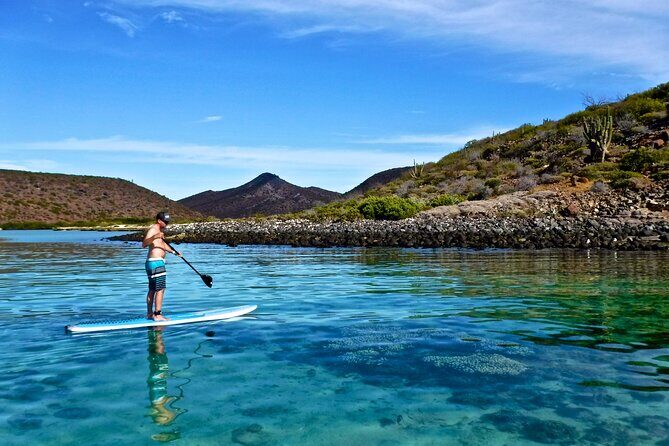 1 Day Espiritu Santo Island Wonders, Sea Lions and Paddleboard Adventure - The Sum Up