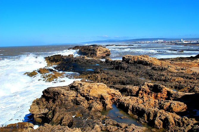 1 Day Excursion from Marrakech to Essaouira - Analyzing the Tour: A Step-by-Step Breakdown