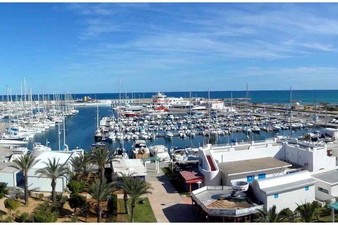 1 day excursion Tunis Sidi Bousaid Carthage departure from Sousse - The Sum Up
