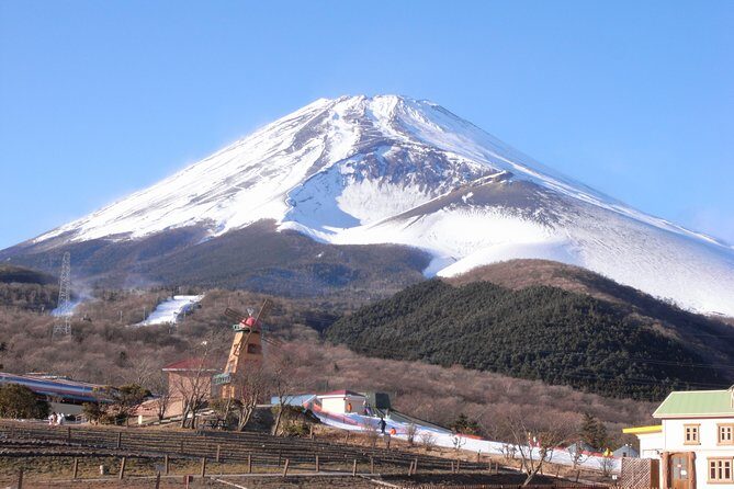 1 Day Family Fun at Fuji with Private Car - Practical Tips for Making the Most of the Tour