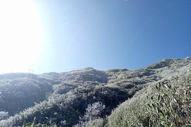 1 day Fansipan Trekking - A Deep Dive into the Fansipan Trekking Tour