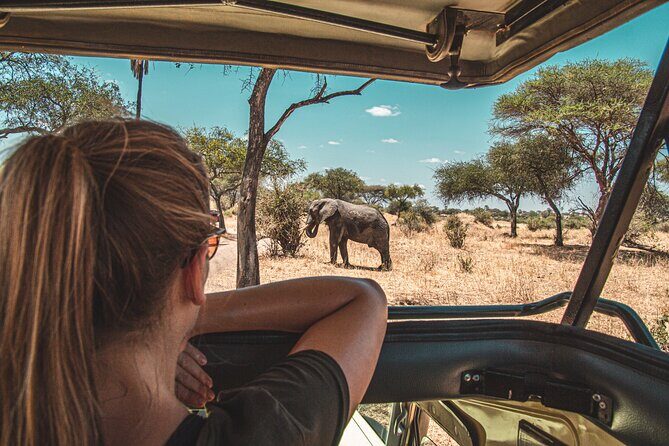 1-Day Fly in Shared Safari to Mikumi National Park from Zanzibar - Getting Ready for a Day of Wildlife and Wonder