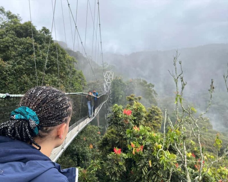 1 day: From Kigali, The canopy walk adventure at Nyungwe - Practical Tips for Your Day Trip